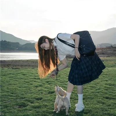 蓬岛仙舞